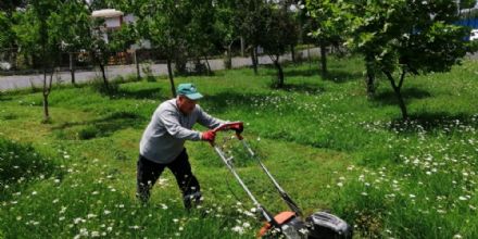 Ergenede im Bime ve Yabani Ot Temizlii Devam Ediyor