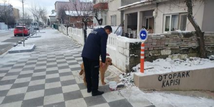 Zabta Ekiplerimiz Sokak Hayvanlarn Besledi