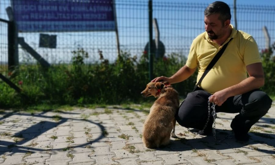 Ergene Belediyemiz Sevimli Dostlarn Sahiplendirmeye Devam Ediyor