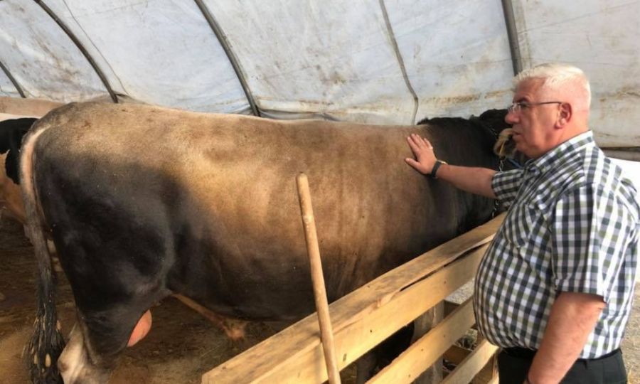 Ergene Belediye Bakanmz Rasim Yksel Kurban Pazarn Ziyaret Etti