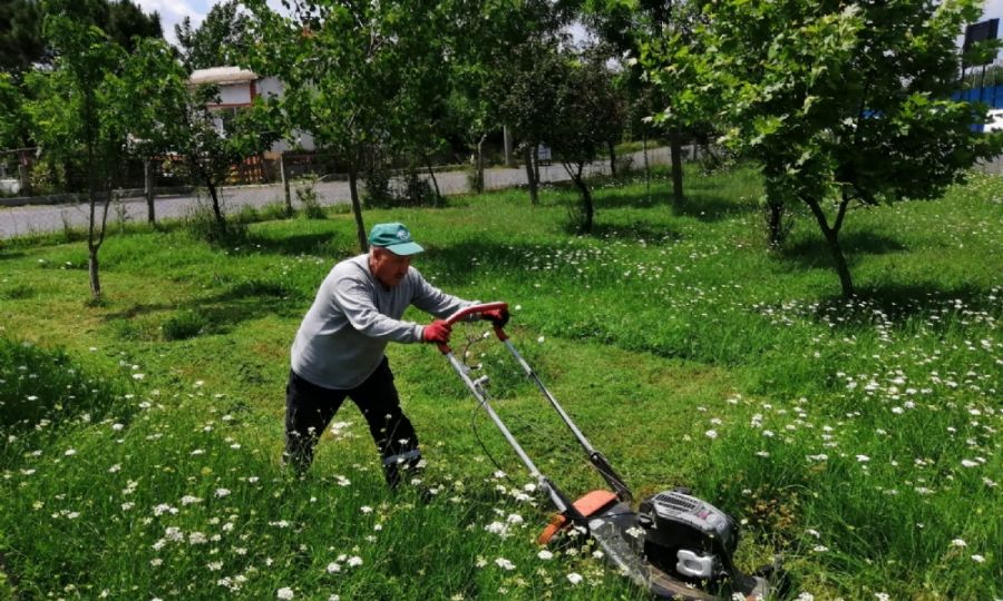 Ergenede im Bime ve Yabani Ot Temizlii Devam Ediyor