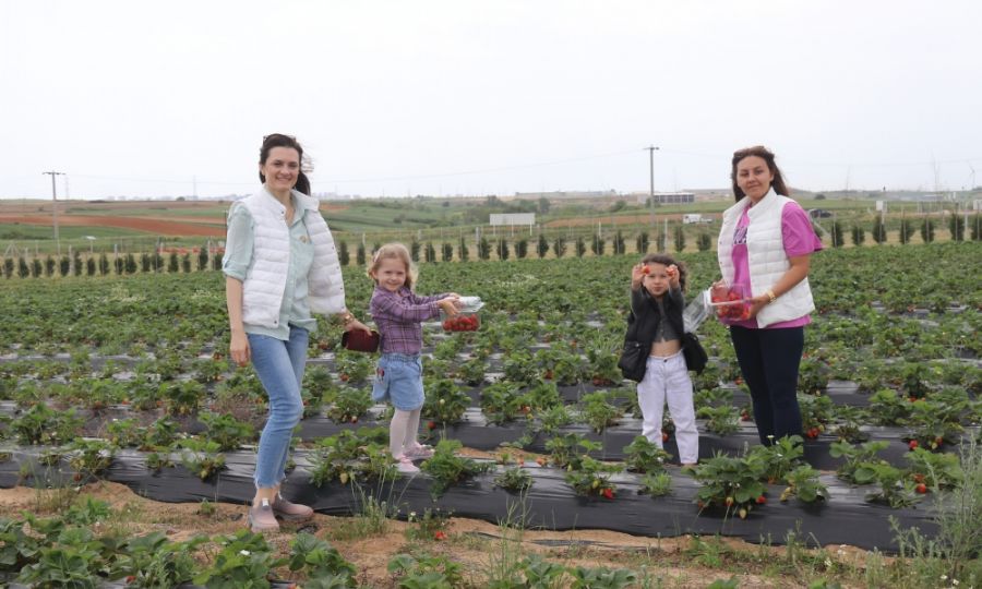 Ergene Belediyesi ilek Tarlalar Hizmete Ald