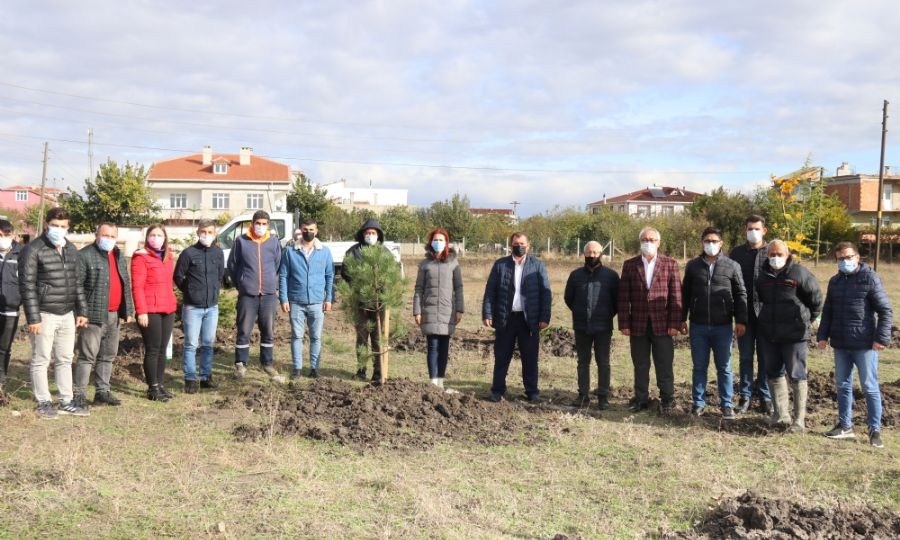 Fidanlar Ergenede Toprakla Bulutu