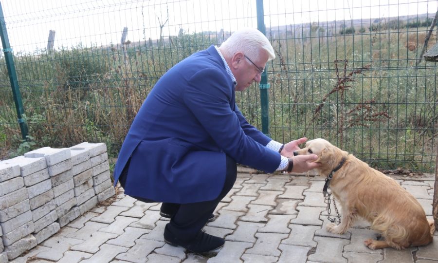 Ergenede Sevimli Dostlarmz Yeni Yuvalarna Uurluyoruz